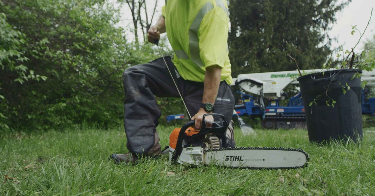 Stump grinding and removal service using professional equipment in Celina, TX